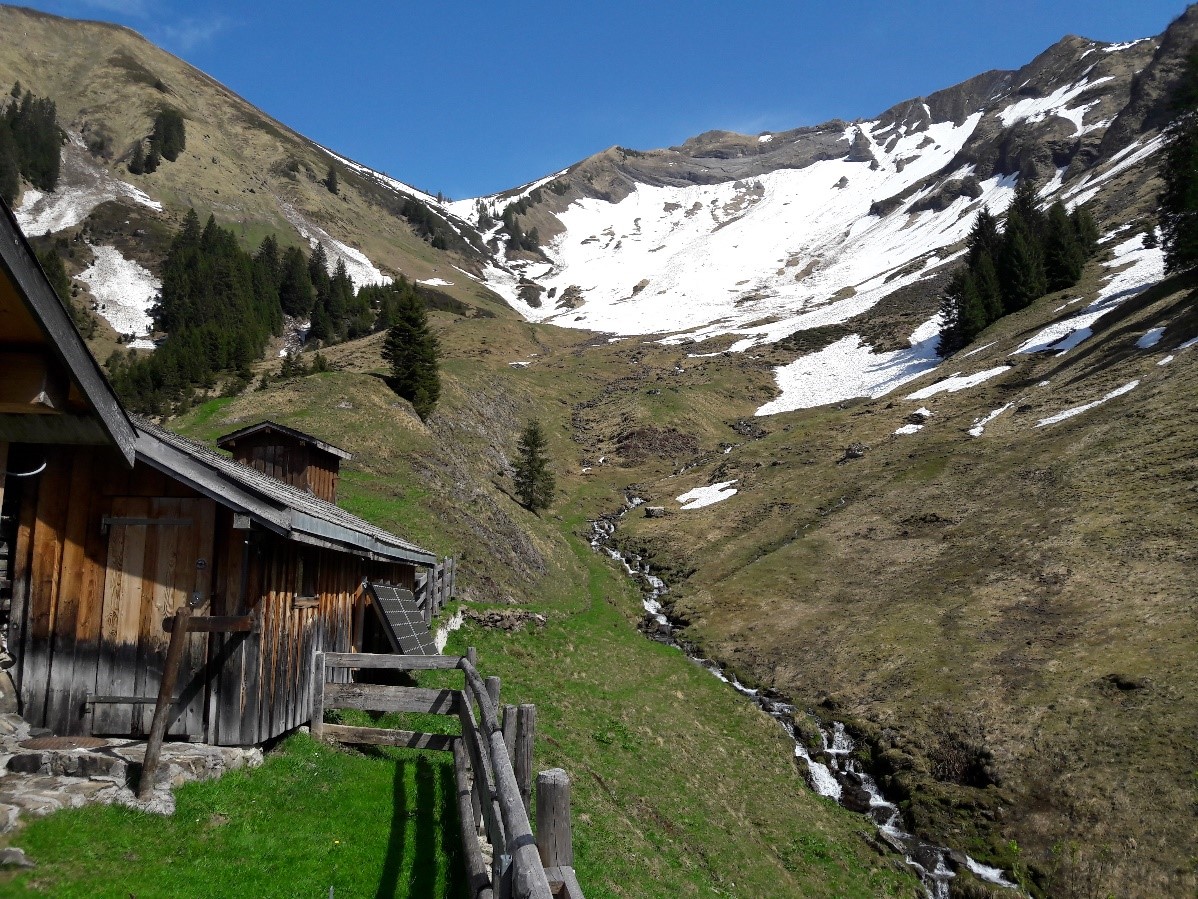 alp wäni
